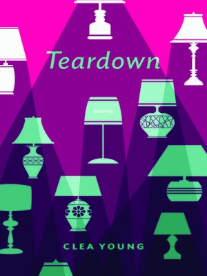 cover image of Teardown